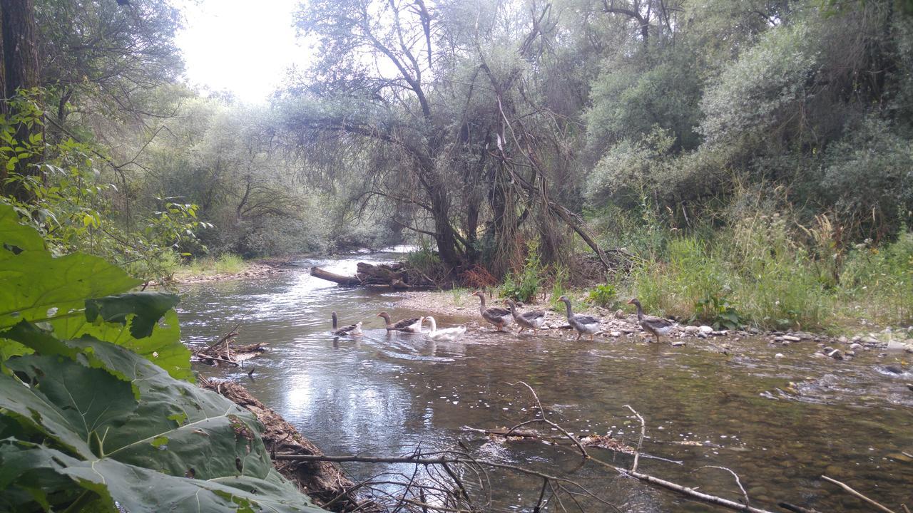 מלון Trnski Odorovci Juzni Vetar מראה חיצוני תמונה